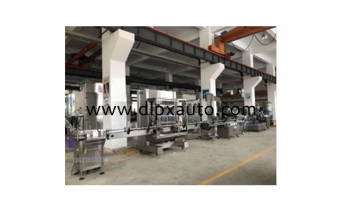 800ml硫酸灌裝機(jī) 雙頭灌裝機(jī)